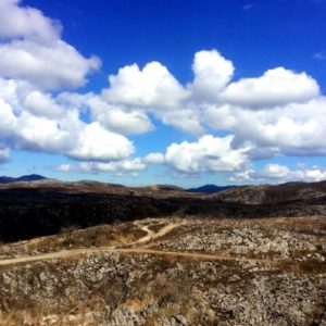 秋吉台【山焼きの歴史】なぜ山焼きを?秋吉台の伝統行事を徹底解説!!