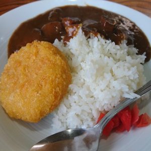 秋吉台【グルメ探検】和屋の美東ごぼうコロッケカレーが絶品!!