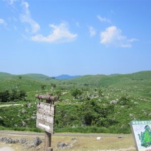 秋吉台・カルスト台地は5月がおすすめ!!新緑の時期の見どころチェック!!