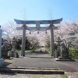 鰐鳴八幡宮(小鯖八幡宮)【山口】桜と彼岸花の名所!!駐車場や御朱印情報も