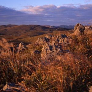 美祢市の紅葉スポット3選・秋吉台の紅葉や水神公園など見どころたっぷり