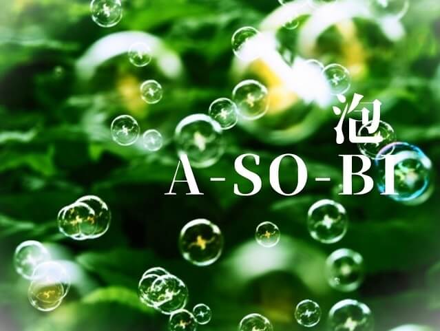 【第5回泡a-so-bi】山口きらら博記念公園にて開催!!日本一シャボン玉で遊ぶイベント