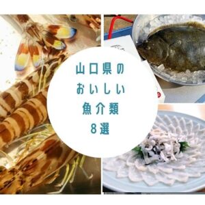 山口県のご当地食材・魚介8選!!旬を知って山口の美味しい魚を楽しもう