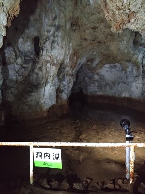 大正洞内で見られるシコクヨコエビが棲む地下水