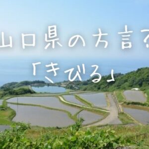 方言「きびる」は山口だけじゃない!!九州・四国・広島での意味と使い方をご紹介